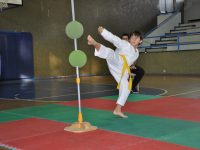 GIOCO SPORT KARATE