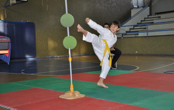 GIOCO SPORT KARATE